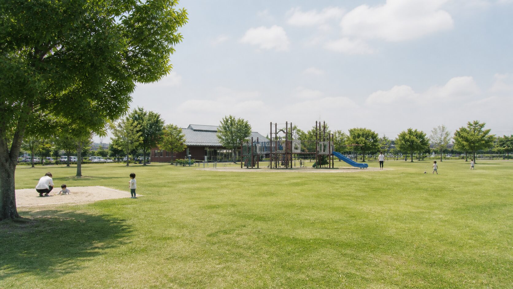 野方三ツ池公園の芝生広場と複合遊具
