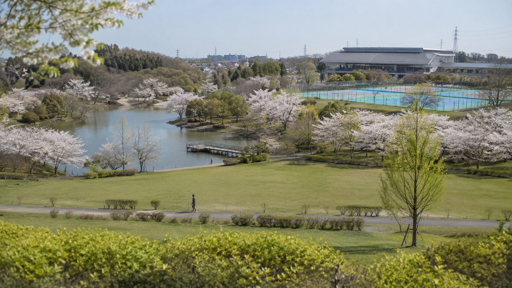 三好池と桜、芝生、テニスコートを見渡す三好公園の全景。