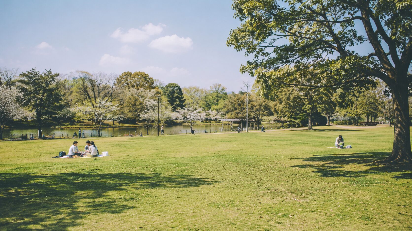 池のそばの芝生広場。木陰があり、レジャーシートで過ごす家族もいる。