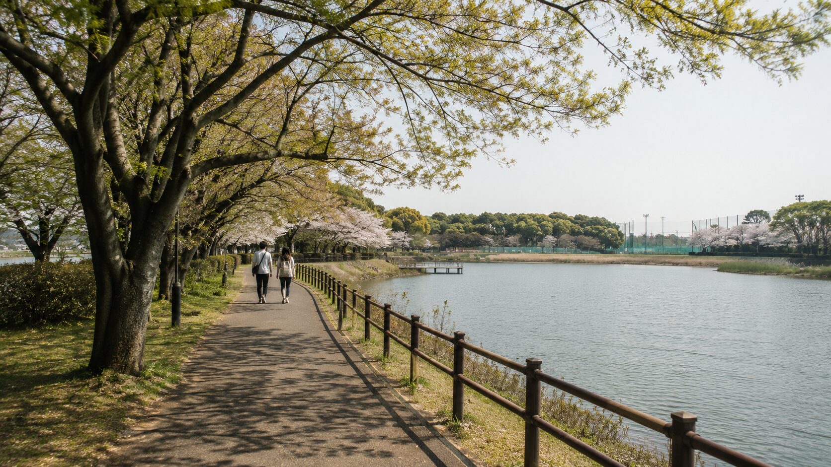 三好公園のテニスコートと池。スポーツ施設と水辺が近くに並ぶ。